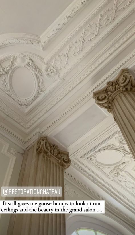 French castle, ceiling mouldings Crown Molding Aesthetic, Vintage Moulding, Castle Ceiling, House Molding, French Ceiling, Ceiling Molding, Ceiling Crown Molding, French Castle, House Mold