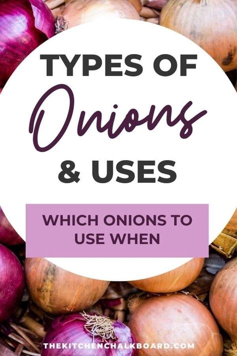 Types Of Onions And Their Uses, Boiler Onions Recipe, Onion Types, Types Of Onions, Red Onion Recipes, Kitchen Chalkboard, Roasted Onions, Vegetable Storage, Vegetable Side