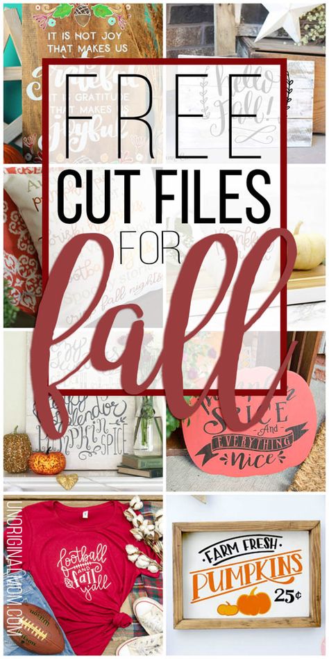 Fall Crafting, Cricket Projects, Urban Exploring, Cricut Expression, Projets Cricut, Cricut Tips, Svg Images, Cricut Projects Beginner, Cricut Craft