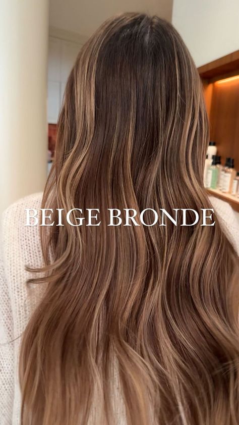 DW CREATIVE GROUP | Beige BRONDE 🤎✨✌🏻 The double application of the lightener allowed us to achieve brighter highlights on the Brown with a Beige undertone… | Instagram Lighter Brown Hair With Highlights, Sandy Bronde Haircolor, Sandy Brown Hair With Highlights, Lighter Brown Hair, Sandy Brown Hair, Igora Vibrance, Acidic Bonding Concentrate, Sandy Hair, Beige Highlights