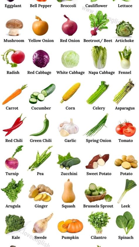 Vegetables List, Fruits And Vegetables List, Name Of Vegetables, Vegetable Chart, Red Vegetables, Aphrodisiac Foods, English Names, Simple Family Meals, Fruit Names