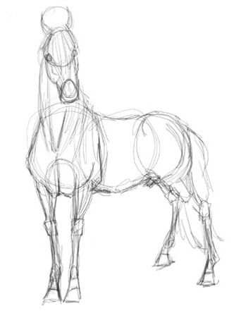 Horse drawing idea Horse Drawing Reference Sketch, Realistic Horse Sketch Step By Step, Horse Body Drawing, How To Draw Horse, How To Draw A Horse, Horse Drawing Tutorial, Horse Drawing Reference, Drawing Horses, Horse Art Drawing