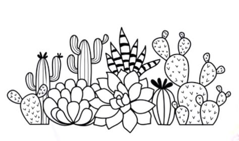 Cactus Sketch Simple, Succulent Outline Drawing, Succulent Embroidery Pattern Free, Cactus Sketch, Simple Cactus Line Art, Coloring Pages Succulents, Laser Templates, Cacti Embroidery, Reverse Coloring