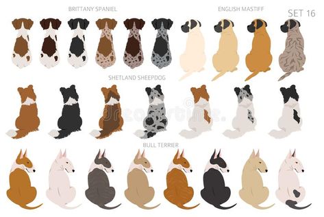 Dog Sitting Illustration, Dog Sitting Back View, Pet Graphic Design, Scottie Terrier, Dog Prints, Dog Drawings, Dog Illustrations, Dog Poses, Posca Art