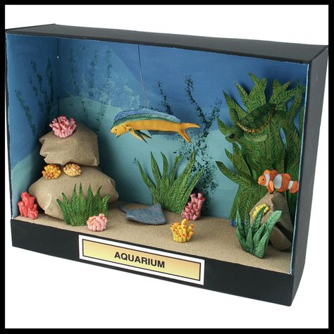 Project Idea- Create a simple aquarium with a ShowBox. Use Desert Sand ReadyGrass® Sheets to make rocks for your aquarium. Sculpt turtles, clownfish, coral and seaweed and kelp. Then, use the Project Paints to paint the items and the colorful blue-water background. Ecosystems Diorama, Shoe Box Diorama, Ocean Diorama, Biomes Project, Diorama Kids, Diarama Ideas, Ecosystems Projects, Shoe Box Crafts, Habitats Projects