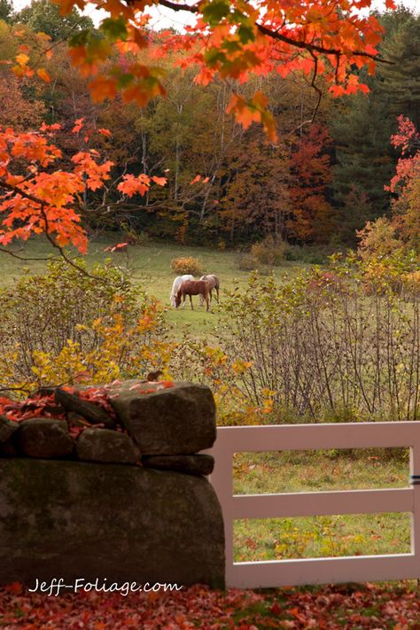 Leaves On The Ground, New England Fall, Farm Scene, Autumn Scenes, Country Scenes, Autumn Scenery, Fabulous Fall, Autumn Beauty, Fall Pictures