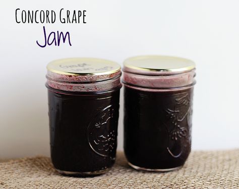 This concord grape jam is easy to make. It's rich in flavor. It's sweet and tart and perfectly spreadable. It only requires 4 ingredients, grapes, lemon juice, butter, and sugar. Concord Grape Recipes, Concord Grape Jam, Grape Jam Recipe, Canning Preserves, Homemade Grape Jelly, Concord Grape Jelly, Jam Without Pectin, Vegetable Ideas, Pectin Recipes