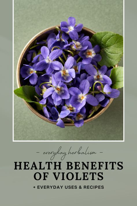 Get to know violet better, including health benefits and simple ways to incorporate violet into your diet. Medicinal Oils, Tinctures Recipes, Body Care Recipes, Herbal Remedies Recipes, Low Carb Diet Plan, Health Knowledge, Oil Benefits, No Carb Diet, Violet Flower