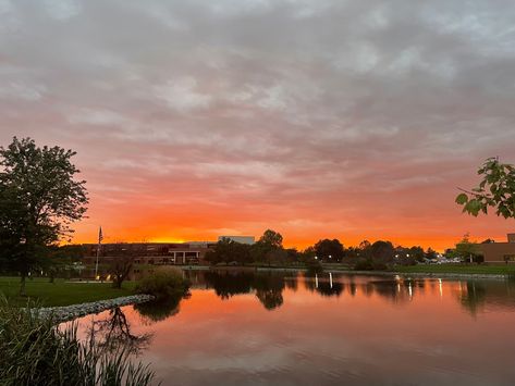 Cedarville University OH Cedarville University, University Aesthetic, Bee, University, Water, Quick Saves