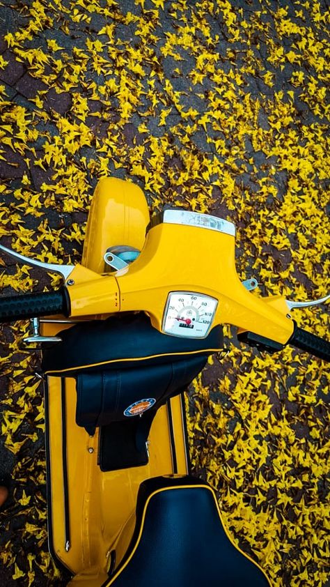 Vespa Pts, Yellow Vespa, Vespa Special, Vespa Smallframe, Brooke Adams, Italian Scooter, Vintage Scooter, Vespa Scooter, Vespa Lambretta