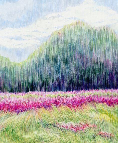 Blooming Meadow Drawing by Liliya Rodnikova | Artfinder Drawing Ideas Abstract, Meadow Drawing, Colour Pencil Art Landscapes, Colour Pencil Art, Embroidery Landscape, Color Pencil Illustration, Colored Pencil Artwork, Pattern Painting, Sky Artwork