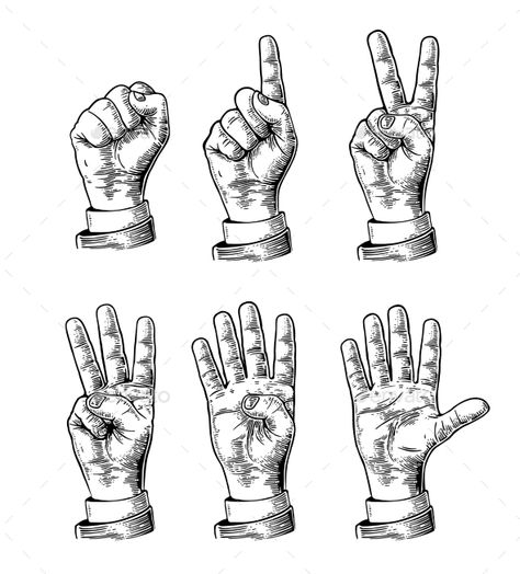 Set Gestures Of Hands Counting From Zero To Five Ink Practice, Architecture Vector, Shot Caller, Hand Pointing, Old Arts, Flat Vector People, Engraved Illustration, Arte Doodle, Pointing Hand