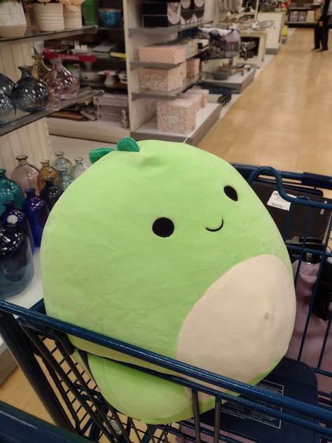 Squishmallows Dinosaur, Dino Squishmallow, Squish Mallows, Ray Ray, Dream Land, Kawaii Plushies, Silly Things, Cute Stuffed Animals, Beanie Babies