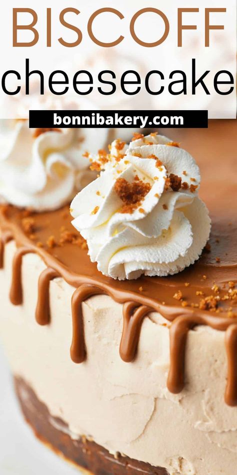 Biscoff Cheesecake Recipes, Biscoff Desserts, Biscoff Dessert, Cookie Butter Cheesecake, Dessert For A Party, Lotus Biscoff Cheesecake, Small Cheesecakes, Cheesecake Decoration, Simple Drinks