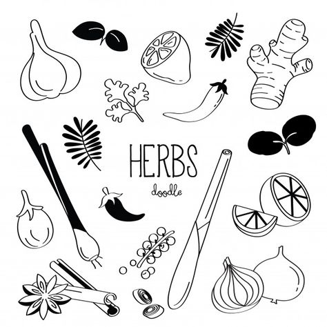 Veg Drawing, Hand Drawing Styles, Herbs Doodle, Herb Drawings, Food Vector, Drawing Styles, Honey Sticks, Spice Set, Vector Food