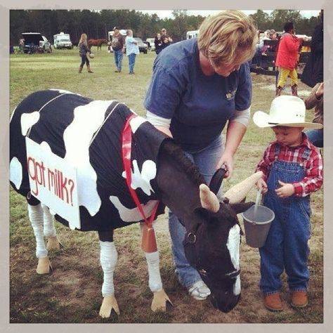 These Horse Halloween Costumes Will Make You Want a Trusty Steed of Your Own – SheKnows Equine Costume Ideas, Costume Class Horse Show, Halloween Costumes For Horses And Rider Easy, Mini Horse Costume Ideas, Horse Costume Class Ideas, Horse Halloween Ideas, Horse Fancy Dress, Kiwi Pie, Farmer Costume