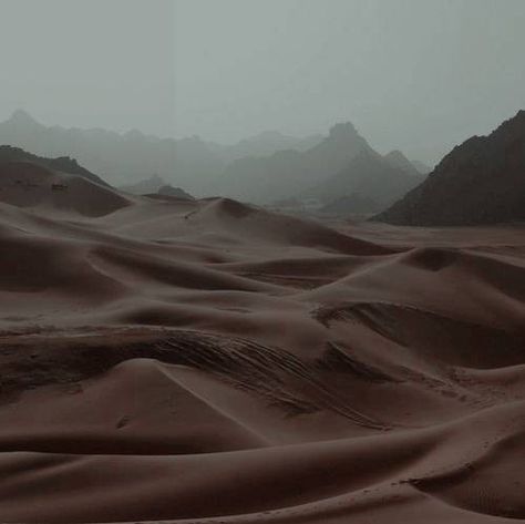 Arrakis Dune Aesthetic, Arabian Desert Aesthetic, Howleen Wolf, Ancient Egyptian Deities, Egypt Aesthetic, Desert Aesthetic, Half Elf, Paul Atreides, Catty Noir