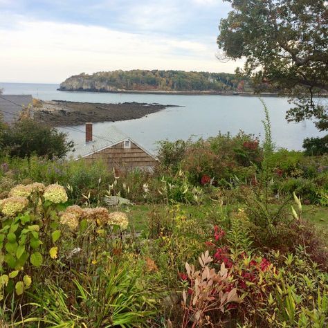 Cottages In Maine, Maine Aesthetic Fall, Maine Coast Aesthetic, Coastal Maine Aesthetic, Maine Countryside, Portland Maine Aesthetic, Peaks Island Maine, Maine Portland, Maine Aesthetic