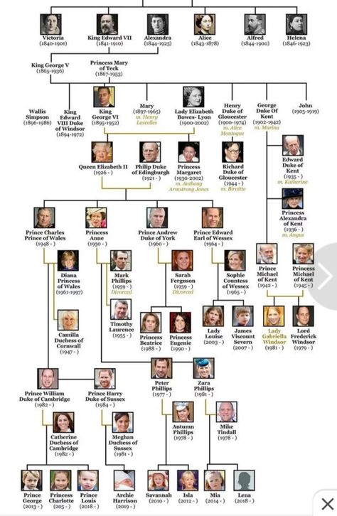 Windsor Family Tree, Family Tree Wedding, Queen Victoria Family Tree, Royal Family Tree, Royal Family Weddings, Portuguese Royal Family, British Royal Family Tree, British Royal Marines, Princess Michael Of Kent