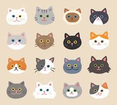 Cute Cat Face, Cat Faces, Cat Cookies, Face Illustration, Cat Vector, Image Nature, Scottish Fold, Cats Illustration, Animal Faces