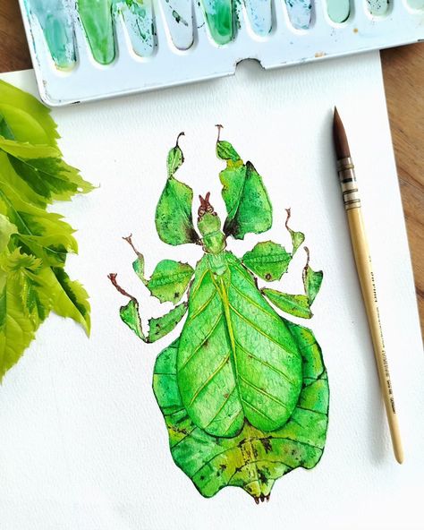 New Leaf Insect Prints 💚 Comment MINE and I'll send you the link, or check out my shop! Insect Display, Insect Watercolor, Leaf Insect, Entomology Art, Unique Creatures, Insect Taxidermy, Insect Art, New Leaf, Art Display