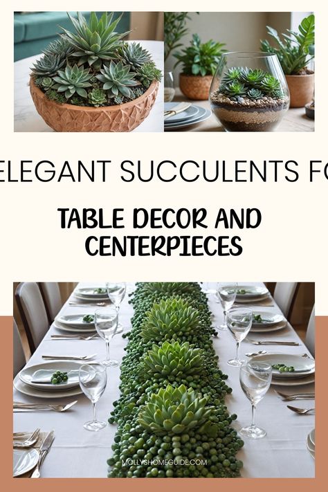 Looking for unique wedding decor ideas? Incorporate succulents for table decor and centerpieces to add a touch of natural beauty to your event. Whether you're planning a boho, rustic, or organic wedding, succulents make the perfect choice. Create a stunning tablescape by combining these versatile plants with other elements for an intimate and elegant ambiance. Succulent Centerpiece Ideas, Succulent Tray, Patio Table Decor, Ti Plant, Succulent Centerpieces, Unique Wedding Decor, Money Trees, Jade Plants, Organic Wedding