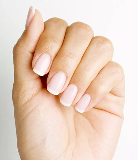 Dip Powder French Manicure | OPI Dip Powder French Manicure, Dip French Manicure, French Manicure Dip, Powder French Manicure, French Tip Dip, Manicure Dip, Manicure Tutorials, French Manicures, Dip Nails