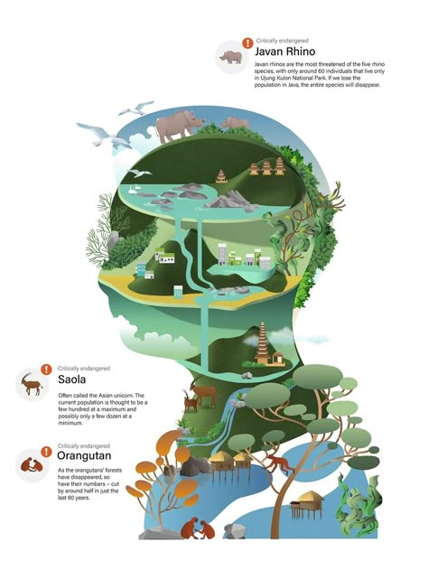 Illustration Infographic, Graphic Design Infographic, Infographic Illustration, Information Graphics, Fashion Design Sketches, Creative Ads, Wildlife Animals, Editorial Illustration, Sustainable Design