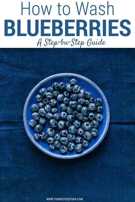 Find out the right way to wash blueberries. No longer have soggy berries or ones that get moldy quickly.  This step by  step guide will show you exactly how to clean blueberries properly. How To Wash Blueberries, How To Eat Blueberries, How To Wash Berries, How To Clean Blueberries, How To Clean Berries, Cleaning Blueberries, Strawberry Cleaning, Clean Blueberries, Cleaning Berries