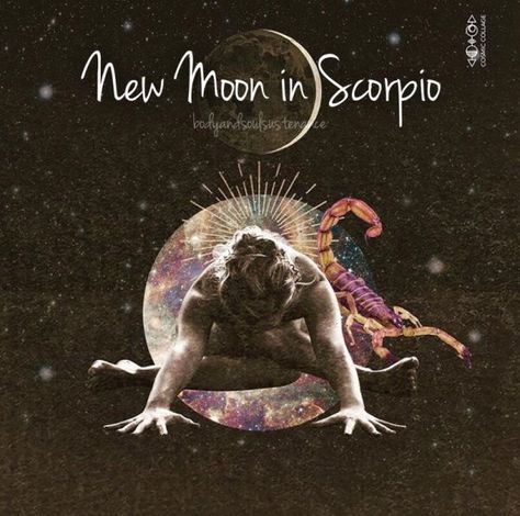 New Moon in Scorpio – October 27, 2019 | Body & Soul Sustenance New Moon Scorpio, Scorpio New Moon, Cosmic Collage, New Moon In Scorpio, Moon In Scorpio, Wild Women Sisterhood, Moon Magick, Zodiac Scorpio, Moon Images