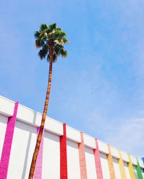 Palm Springs, CA Conference Photography, Palm Springs Aesthetic, Inspired Photos, Summer Moodboard, Hotel Facade, Palm Spring, Summer Loving, Summer 19, Aesthetic Light