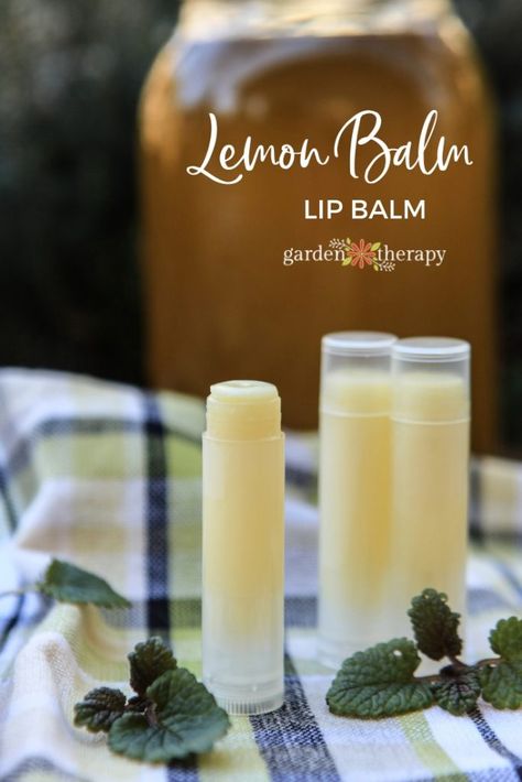 Lemon Balm Recipes, Garden Therapy, Lip Balm Recipes, Natural Beauty Recipes, Homemade Lip Balm, Cold Sores, Diy Lip Balm, Herbal Infusion, Infused Oils