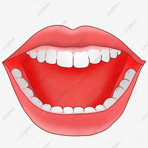 Open Mouth Drawing, Mouth Pictures, Mouth Clipart, Teeth Png, Teeth Clipart, Mouth Cartoon, Cartoon Mouth, Teeth Images, Teeth Illustration