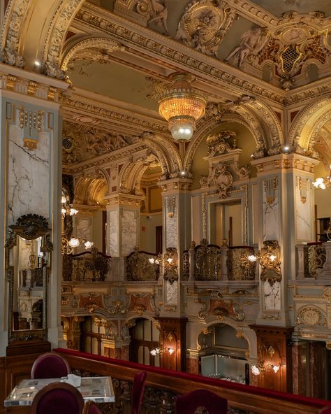 Please enjoy lots of different angles of me prancing around the lavish @newyork_cafe_budapest, inappropriately dressed for a morning cappuccino and (delightfully greasy) ham and cheese toastie. The self proclaimed “Most Beautiful Cafe in The World” (I mean, look at it, I’m not protesting), breakfast at the New York Cafe is an experience you just can’t miss when in Budapest. It gets busy - a queue had already formed before opening at 8am. It’s pricier than your standard Budapest cafe, but yo... Beautiful Cafes Around The World, Budapest Cafe, New York Cafe Budapest, Ham And Cheese Toastie, New York Cafe, Cheese Toastie, Beautiful Cafe, Italian Cafe, Swan Princess