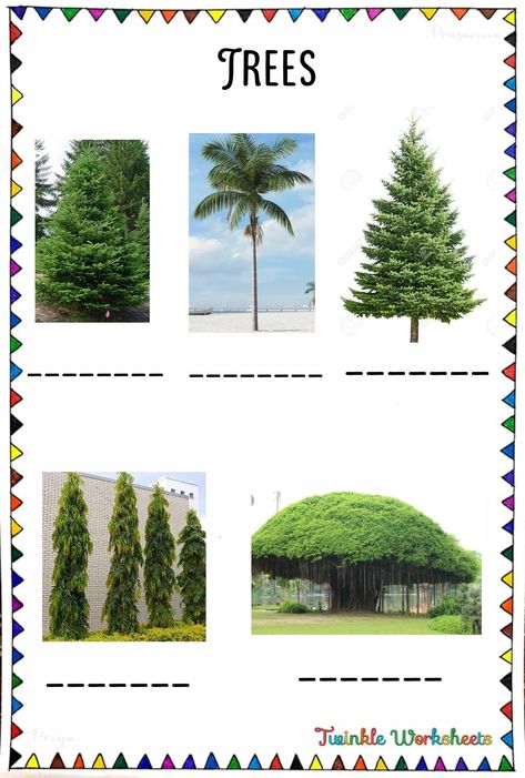 This worksheet is about learning the name of the trees. Have fun learning with us. Tree Identification, Multiplication Chart, Name Puzzle, Kindergarten Worksheets, Fun Math, Puzzles For Kids, Worksheets For Kids, Types Of Plants, Fun Learning