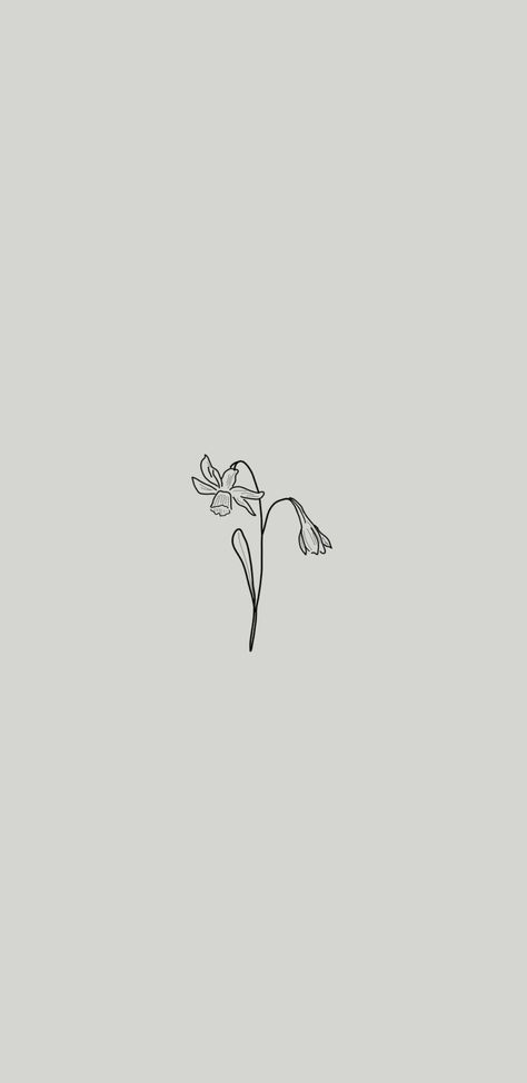 Narcissus Flower Wallpaper, Narcissus Wallpaper, Narcissus Flower Tattoo, Narcissus Flower Tattoos, Narcissus Flower, Minimalist Drawing, Discreet Tattoos, Wallpaper Ideas, Birth Flowers