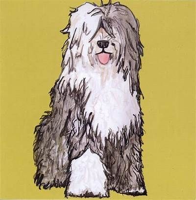 Tattos Josh: Cherity Ann Louise Old English Sheepdog Drawing, Sheepdog Illustration, Sheepdog Tattoo, Sheepdog Puppy, Alphabet Animals, Dog Drawings, Sheep Dogs, Pencil Drawings For Beginners, Bearded Collie