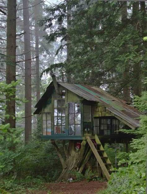 Smallish treehouse with plenty of lighting in the Black Forest, Germany. Cool Tree Houses, Tree House Designs, Hapkido, Cabins And Cottages, Cabin Life, Green Life, Cabins In The Woods, Little Houses, House In The Woods