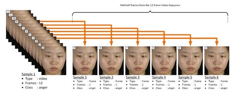 J. Imaging | Free Full-Text | FACS-Based Graph Features for Real-Time Micro-Expression Recognition Facial Action Coding System, Thing 1 Thing 2, Real Time, Anger, Facial, The Unit, Coding