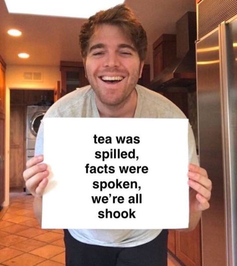 Shane Dawson Reaction Pictures, Shane Dawson Memes, Morgan Adams, Diving Pictures, Education Pictures, Ghost Squad, Tea Meme, Reaction Quotes, Tea Facts