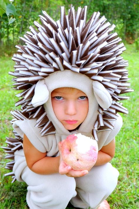 Girls Costume Ideas, Hedgehog Costume, Halloween Costumes Kids Boys, Popular Halloween Costumes, Diy Costumes Kids, Diy Halloween Costumes For Kids, A Hedgehog, Boy Halloween Costumes, Cute Diy