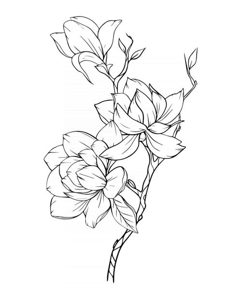 Magnolia Flower Outline Magnolia LIne Art Line Drawing Magnolia Flower Drawing Simple, Magnolia Drawing Simple, Magnolia Outline, Magnolia Flower Drawing, Magnolia Drawing, Lemon Invitations, Magnolia Grandiflora, Flower Tattoo Drawings, Floral Line Art