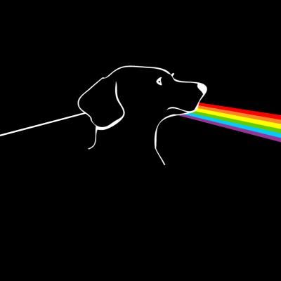 Bark Side of the Moon - Wink Floyd  (Pink Floyd / Dark Side of the Moon) (Parody) Pink Floyd Dogs, Pink Floyd Dark Side, Dark Side Of The Moon, Woman Silhouette, Pink Floyd, Dark Side, Album Covers, The Moon, Neon Signs