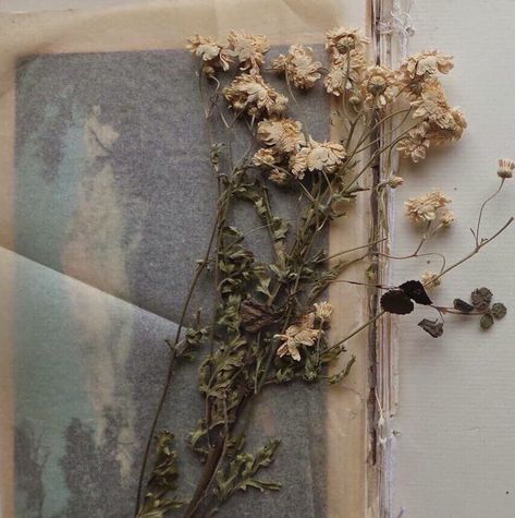 Tumblr Art, Old Book, Dried Flowers, We Heart It, Lost, Tumblr, Flowers, Wall, Art