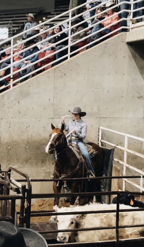 #neal #stardriven #rodeo #roping #breakaway #ranchlife #rodeotrail #quarterhorse #utah Breakaway Roping Aesthetic, Rodeo Roping, Breakaway Roping, Mexican Rodeo, Country Aesthetic, Photography Settings, Rodeo Horses, Rodeo Life, Horse Boarding