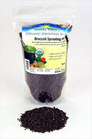 Organic Broccoli Sprouting Seeds  16 Oz 1 Lbs Organic Edible Seed Gardening Hydroponics Growing Salad Sprout  Food Storage Brocolli Sprouts Contain Sulforaphane ** Check out this great product. Growing Salad, Seed Gardening, Sprouting Broccoli, Broccoli Seeds, Emergency Food Storage, Broccoli Sprouts, Edible Seeds, Sprouting Seeds, Sprout Recipes