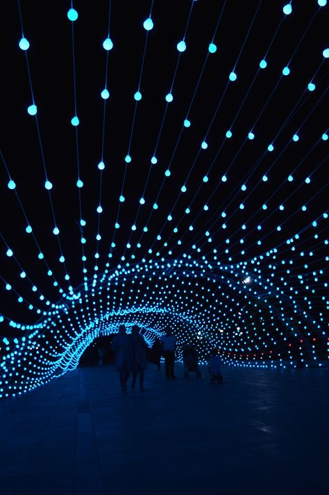 AEPioneer installs an immersive 80m-long light tunnel in tehran Light Bulb Wall, Kinetic Light, Light Art Installation, Light Tunnel, Blue Lights, Long Lights, Long Light, Light Sculpture, Installation Design