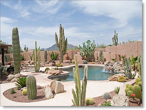 Zero Scaping, Arizona Backyard Landscaping, Cactus Garden Landscaping, Desert Backyard, Arizona Backyard, Arizona Landscape, Backyard Pool Landscaping, Desert Garden, Landscaping Tips