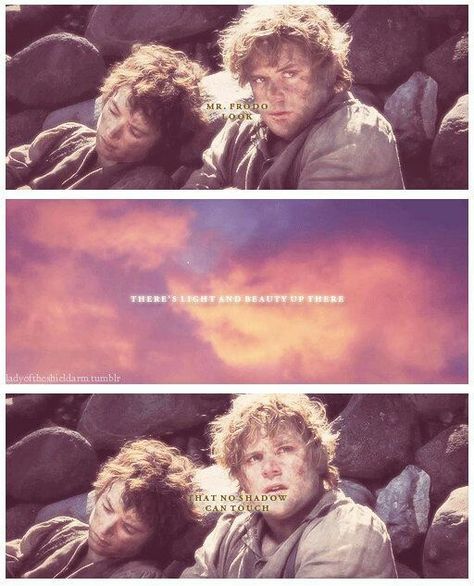 Samwise, The Return of the King. One of my favorite quotes Samwise Gamgee Quotes, Merry And Pippin, Samwise Gamgee, Earth Memes, Frodo Baggins, Quote Wallpaper, Into The West, The Shire, Fellowship Of The Ring