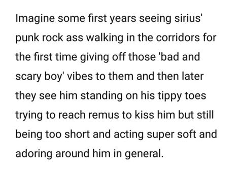 Remus X Sirius Headcanon, Peter Pettigrew Headcanons, Sirius And Remus Headcanons, Marauders Headcanons Wolfstar, Wolfstar Headcanons Cute, Remus And Sirius Headcanon, Wolfstar And Harry, Harry Potter Headcannons Drarry, Wolf Star Headcanons